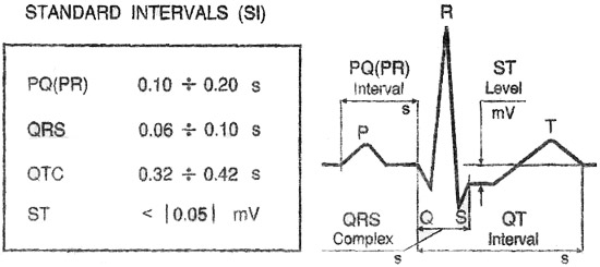 Mesures ECG : PQ, QRT, QTC, ST