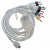 C�ble patient pour ECG Biocare iE10