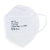 Masques de protection respiratoire FFP2 (bote de 20)