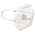 Masques de protection respiratoire FFP2 (bote de 20)