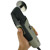 Cliquer pour zoomer