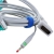 Ceinture ECG � anses avec c�ble patient int�gr� Levmed (connecteur type D sans vis)