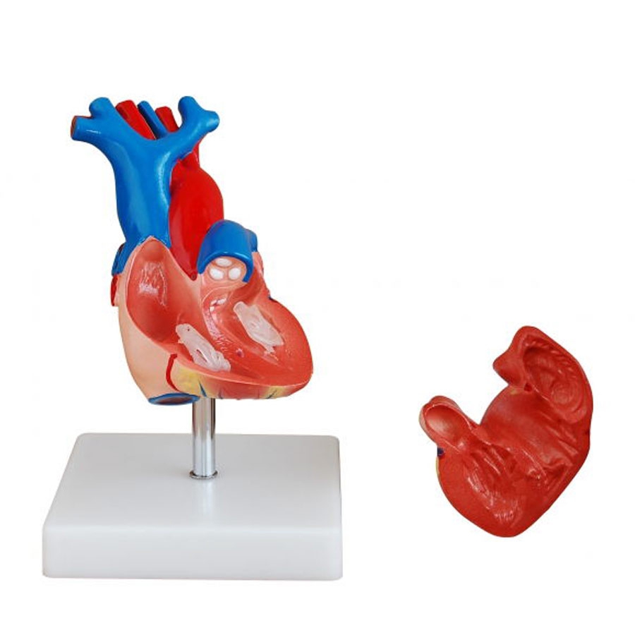 Set 12 Punte Makita Per Trapano A Percussione - Professionali Per Muro E Calcestruzzo - Foto 3