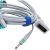 Ceinture ECG � sangle avec c�ble patient int�gr� Levmed (connecteur type D sans vis)