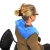 Cliquer pour zoomer