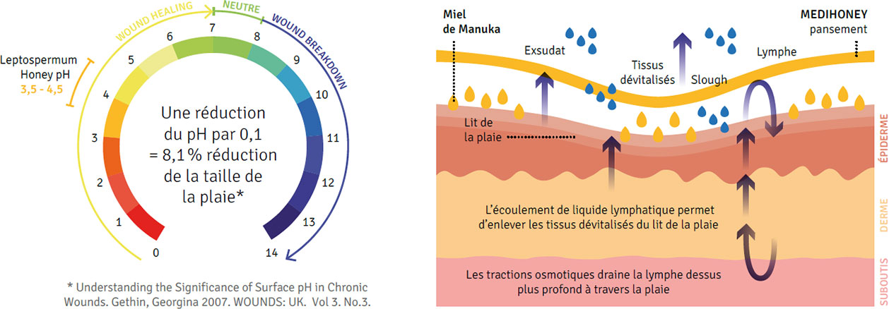 pH modulation et effet osmotique