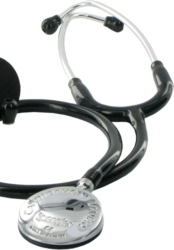 Zoom sur le Spengler Laubry